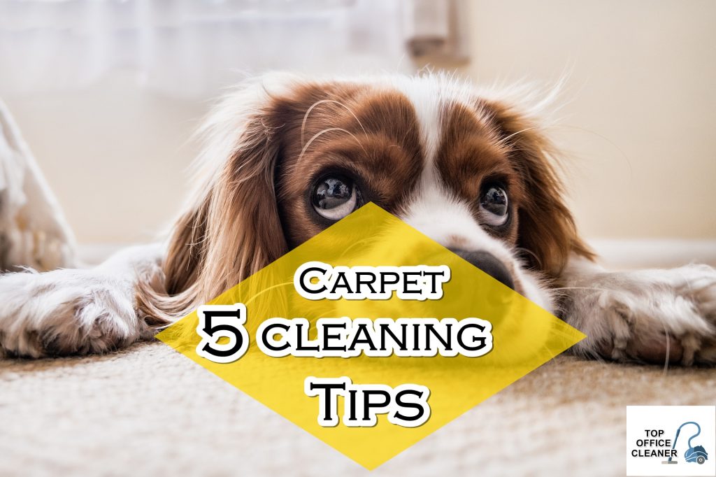 5 Carpet Cleaning Tips Even A 5-Year-Old Kid can do Topofficecleaner.com