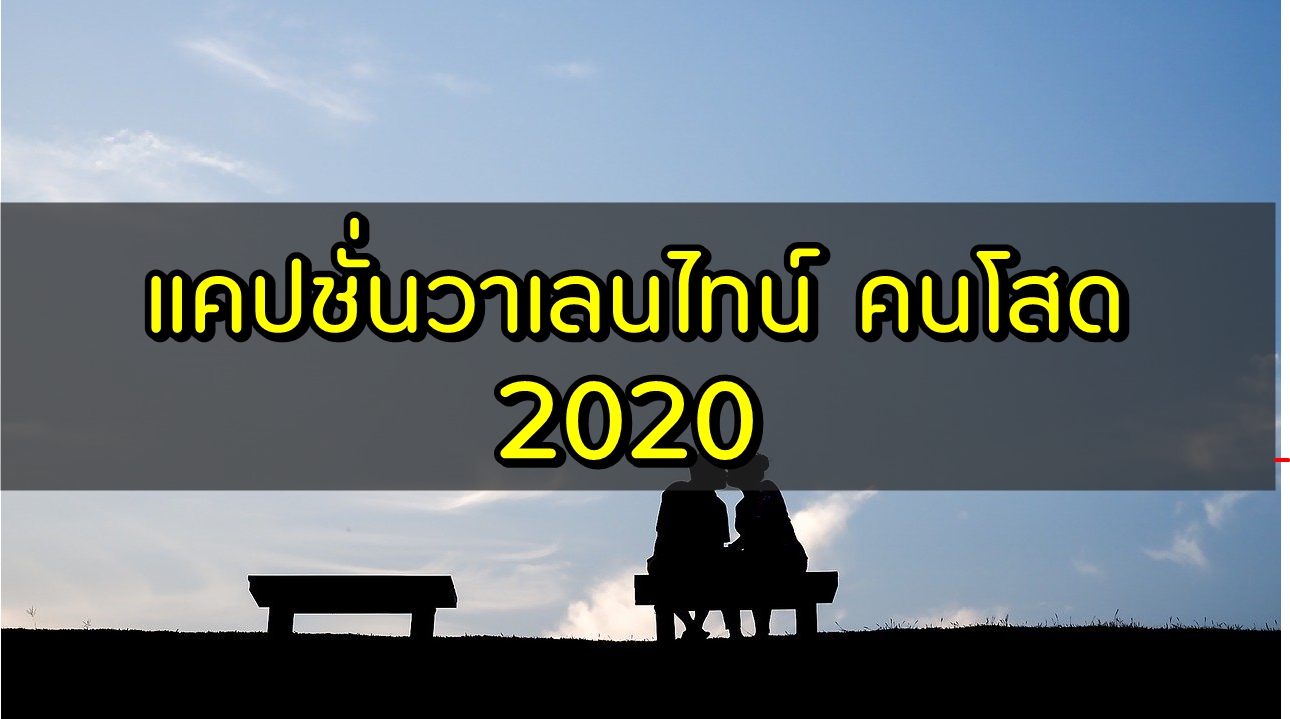 แคปชั่นวาเลนไทน์ คนโสด 2020 คำคมวาเลนไทน์ 2563