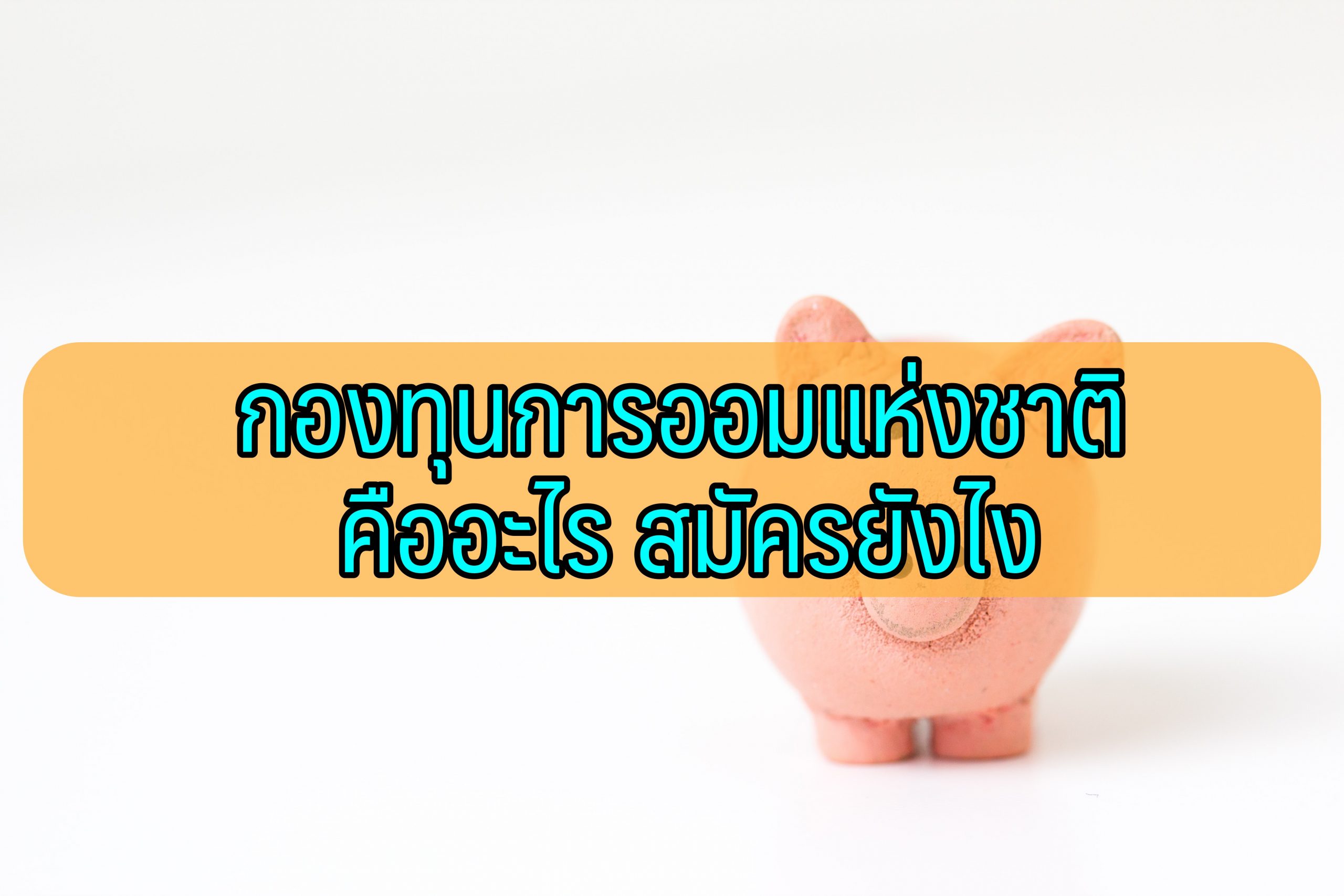 กองทุนการออมแห่งชาติ สมัครที่ไหน มีลักษณะอย่างไร 2564
